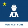 Aggiornamento RLS – 4 ORE