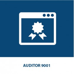 Auditor 9001 (24 CFP Ingegneri)