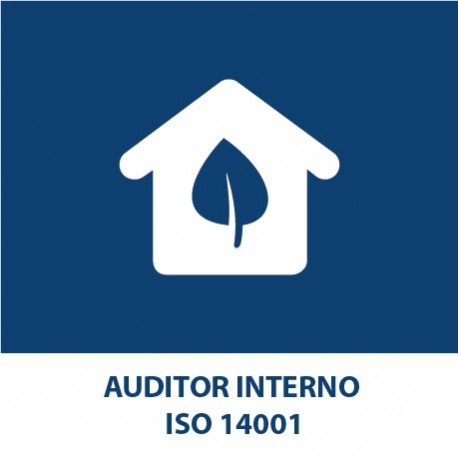 Internal Auditor ISO 14001