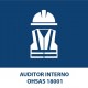 Internal Auditor OHSAS 18001