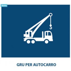 Gru' per autocarro